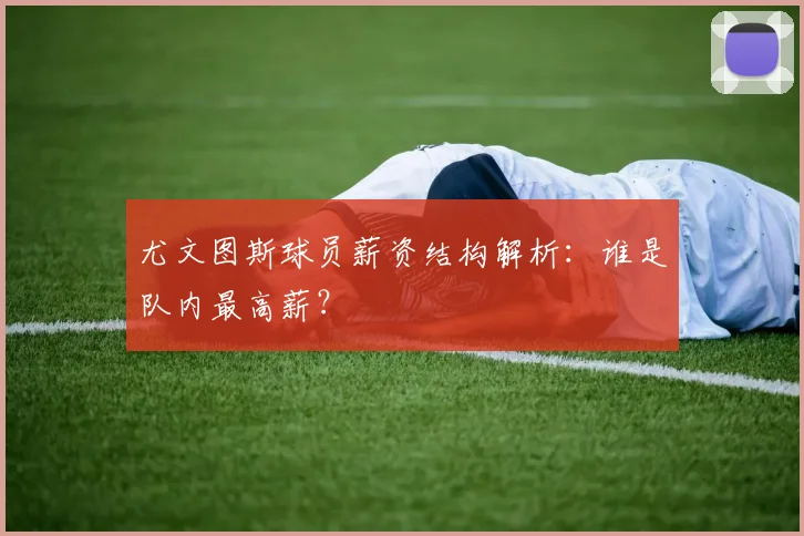 尤文图斯球员薪资结构解析:谁是队内最高薪?